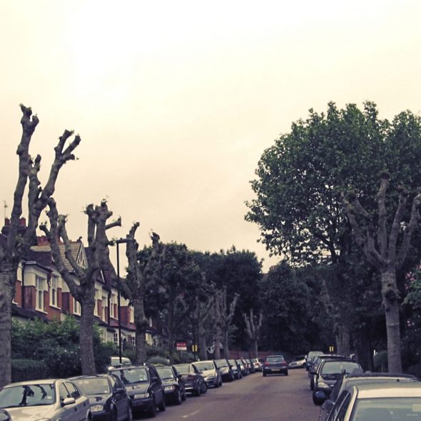 Firs Avenue Andrew Dust ADSE